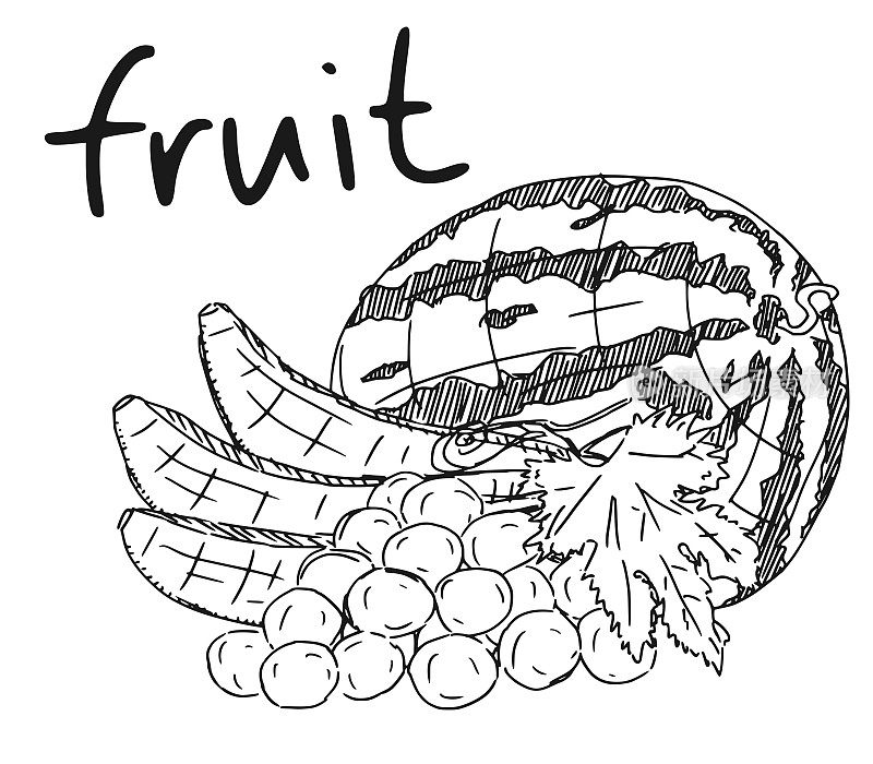 fruit sketch drawing watermelon with banana vector